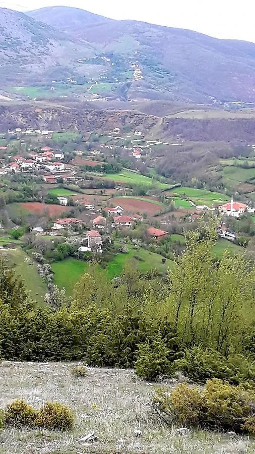Guesthouse 